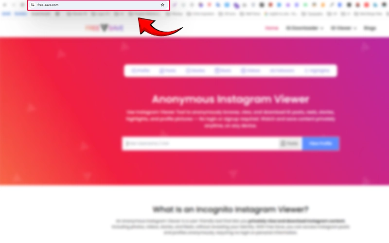 Open the site